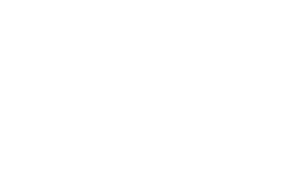 logo vineamagna